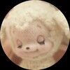 curiodoll